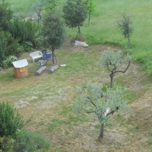 Giardiniere a Spoltore