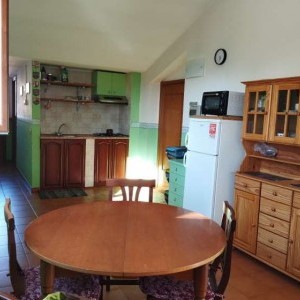 Pettino stanza in appartamento