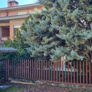 L'Aquila Coppito Finanza