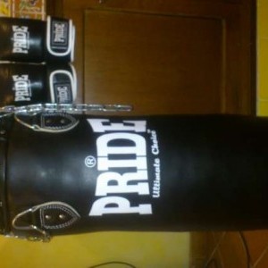 Sacco da pugilato da 20 kg