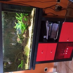 ACQUARIO 200 litri