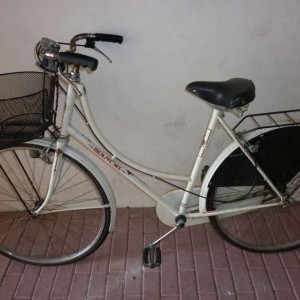 bici da donna con cestino