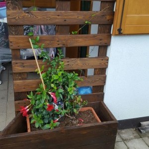 vendo fioriera in pallet