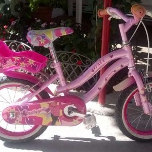 bicicletta bambina prettygirl 14