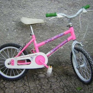 Bici da bambina 3/6 anni