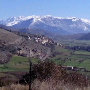 Navelli - Azienda agricola
