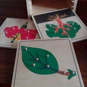 Cofanetto Montessori Foglia Albero Fiore