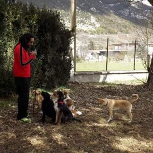 Servizio per sitter