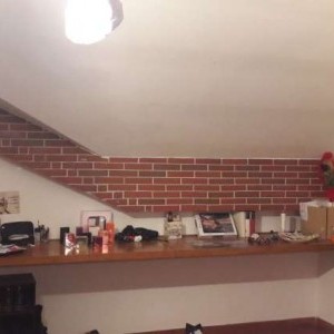 Affitto stanze singole zona Torretta