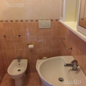 L'aquila