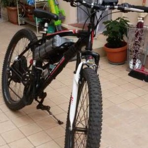 Bicicletta elettrica mtb pedalata assistita 27.5