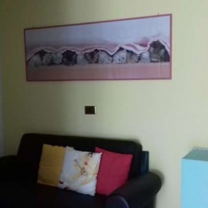 Intero appartamento
