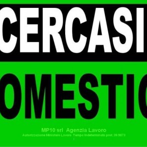 Coppia Domestici