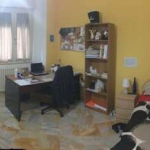 SINGOLA ZONA VIA STRINELLA