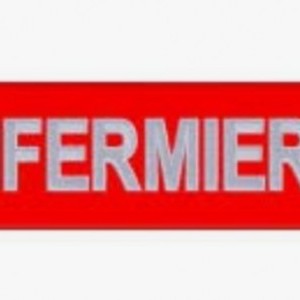 Infermiere professionale