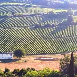 San Casciano in Val di Pesa
