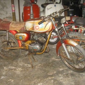 motorini Benelli