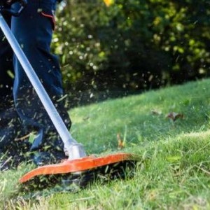 prestazioni di giardinaggio