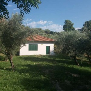 Loreto Aprutino Villino nuova costruzione con uliveto
