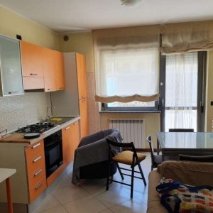 L'aquila