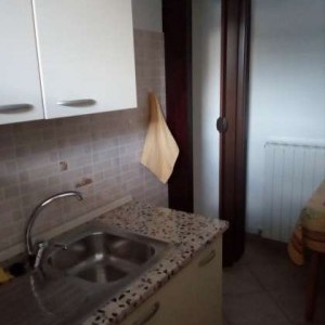 Affitto appartamento