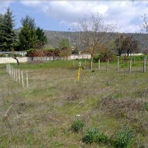 VENDESI TERRENO EDIFICABILE