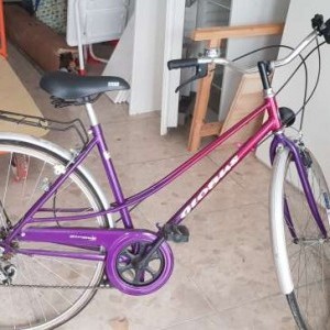 Bicicletta con marce da passeggio