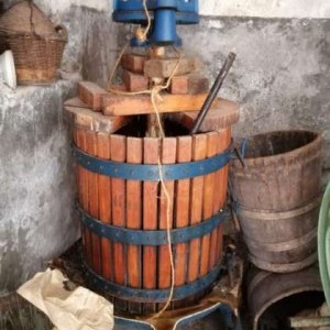 TORCHIO