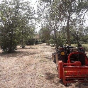 Terreno Agricolo