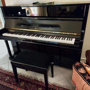 Vendo pianoforte verticale Shulze Pollmann 114