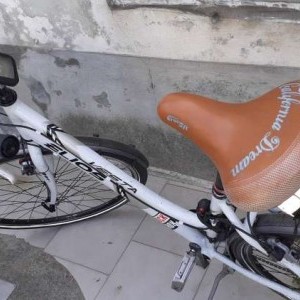 bici da donna 28