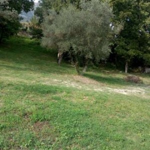 Vendesi lotto di Terreno