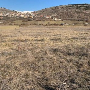 Ampio terreno agricolo pianeggiante