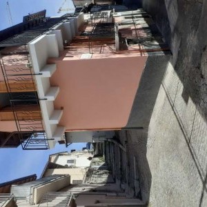 L'aquila